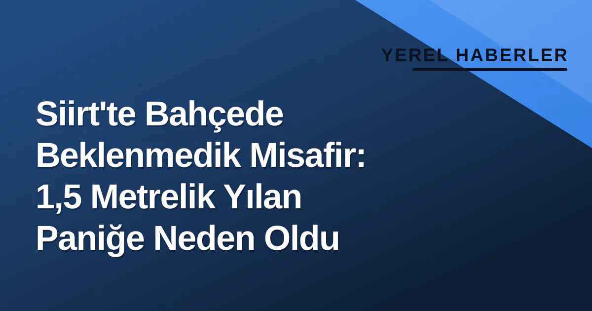 Siirt'te Bahçede Beklenmedik Misafir: 1,5 Metrelik Yılan Paniğe Neden Oldu Siirt'te Bahçede Beklenmedik Misafir: 1,5 Metrelik Yılan Paniğe Neden Oldu