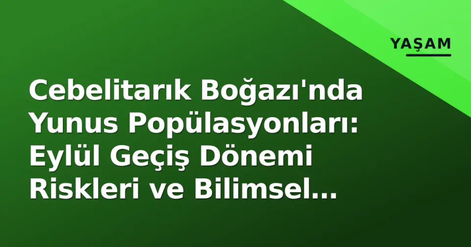 Cebelitarık Boğazı'nda Yunus Popülasyonları: Eylül Geçiş Dönemi Riskleri ve Bilimsel Takip görseli