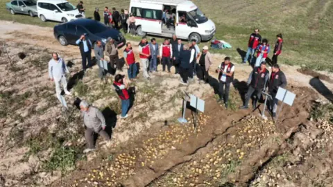 Nevşehir'de 8 Yerli Patates Çeşidinin Hasadı Yapıldı: Verimlilik Sonuçları Bekleniyor