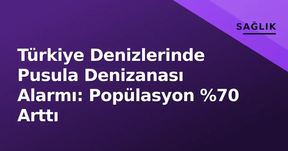 Türkiye Denizlerinde Pusula Denizanası Alarmı: Popülasyon %70 Arttı görseli