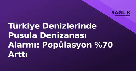 Türkiye Denizlerinde Pusula Denizanası Alarmı: Popülasyon %70 Arttı