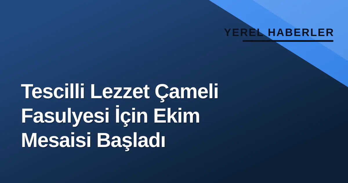 Tescilli Lezzet Çameli Fasulyesi İçin Ekim Mesaisi Başladı Tescilli Lezzet Çameli Fasulyesi İçin Ekim Mesaisi Başladı