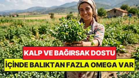 Balıktan Daha Fazla Omega-3 İçeriyor: Sofraların Gizli Süper Gıdası Semizotu