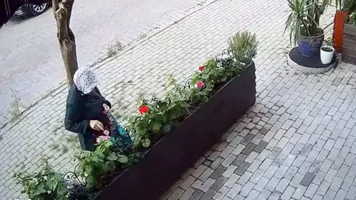 Avcılar'da 3 yıllık emeğe 'şafak operasyonu': Çiçekleri poşetle çaldı Avcılar'da 3 yıllık emeğe 'şafak operasyonu': Çiçekleri poşetle çaldı