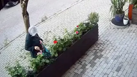 Avcılar'da 3 yıllık emeğe 'şafak operasyonu': Çiçekleri poşetle çaldı Avcılar'da 3 yıllık emeğe 'şafak operasyonu': Çiçekleri poşetle çaldı