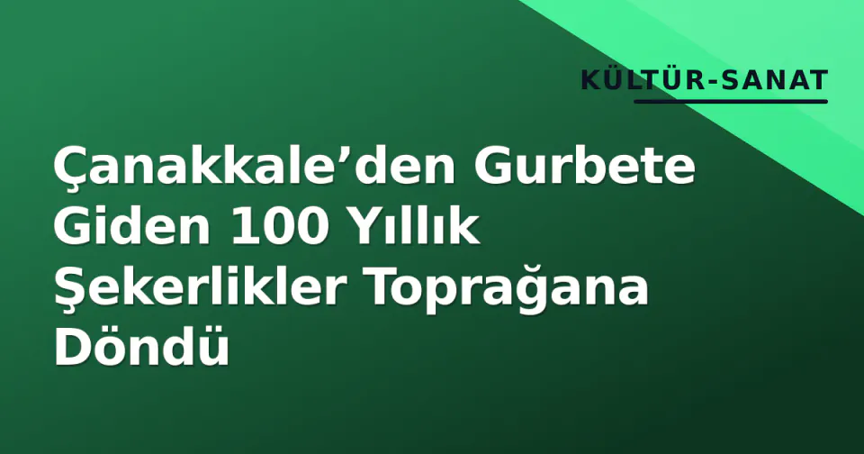 Çanakkale’den Gurbete Giden 100 Yıllık Şekerlikler Toprağana Döndü görseli