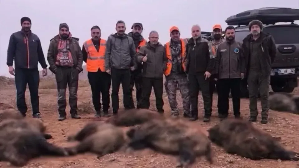 Fındık Bahçelerini Korumak İçin 8 Köyde Yaban Domuzu Sürek Avı Başlatıldı görseli