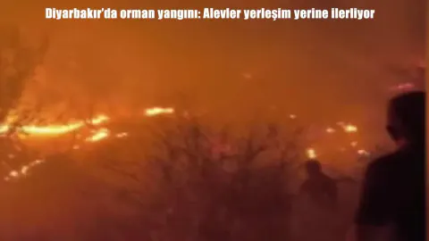 Diyarbakır Lice'de Orman Yangını: Alevler Yerleşim Yerlerini Tehdit Ediyor