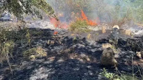 Bitlis'te Korkutan Yangınlar: Alevler Yerleşim Yerlerine Dayandı