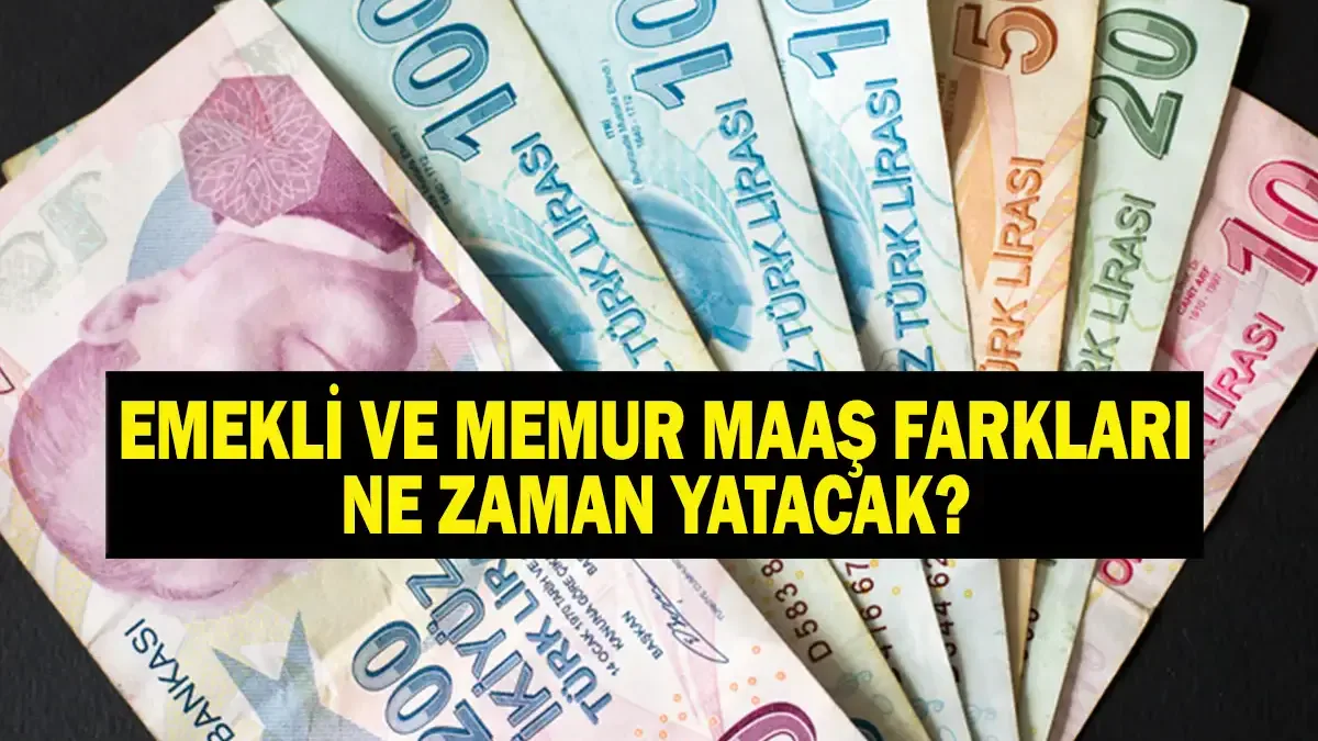 2026 Temmuz Memur Maaş Zamları ve Ödeme Takvimi Netleşti 2026 Temmuz Memur Maaş Zamları ve Ödeme Takvimi Netleşti