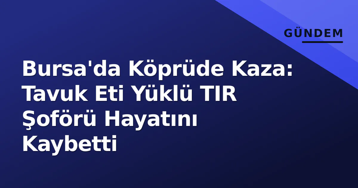 Bursa'da Köprüde Kaza: Tavuk Eti Yüklü TIR Şoförü Hayatını Kaybetti Bursa'da Köprüde Kaza: Tavuk Eti Yüklü TIR Şoförü Hayatını Kaybetti