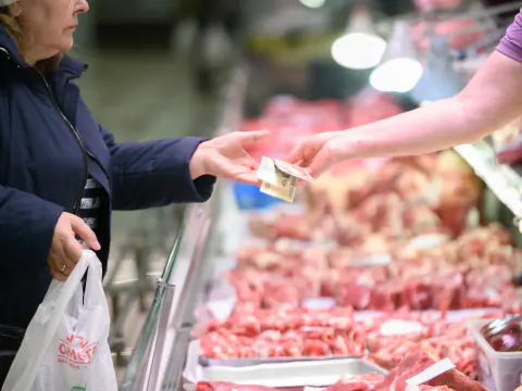 Rusya'da Domuz Eti Satışları %13 İvmelenirken Kuş Eti Talebi Düştü