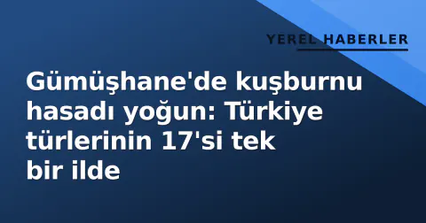 Gümüşhane'de kuşburnu hasadı yoğun: Türkiye türlerinin 17'si tek bir ilde