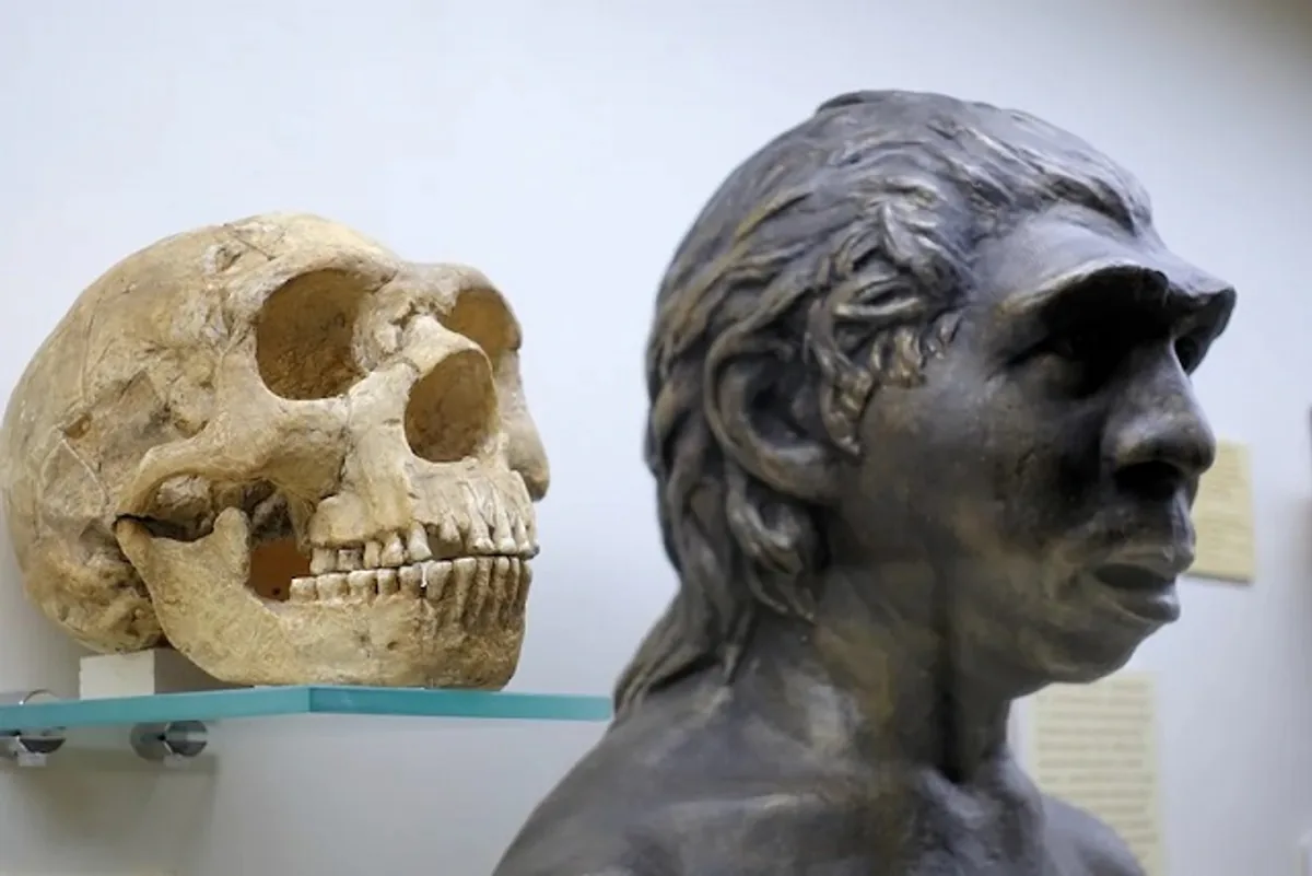 Bilimsel Araştırmalar, Modern İnsanların Geçmişi Hakkında Yeni Bilgiler Sunuyor Bilimsel Araştırmalar, Modern İnsanların Geçmişi Hakkında Yeni Bilgiler Sunuyor
