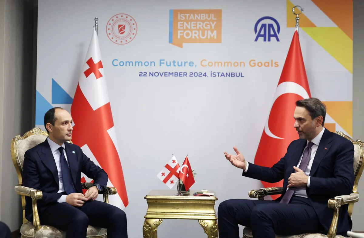 Enerji alanında iş birliği güçleniyor Enerji alanında iş birliği güçleniyor
