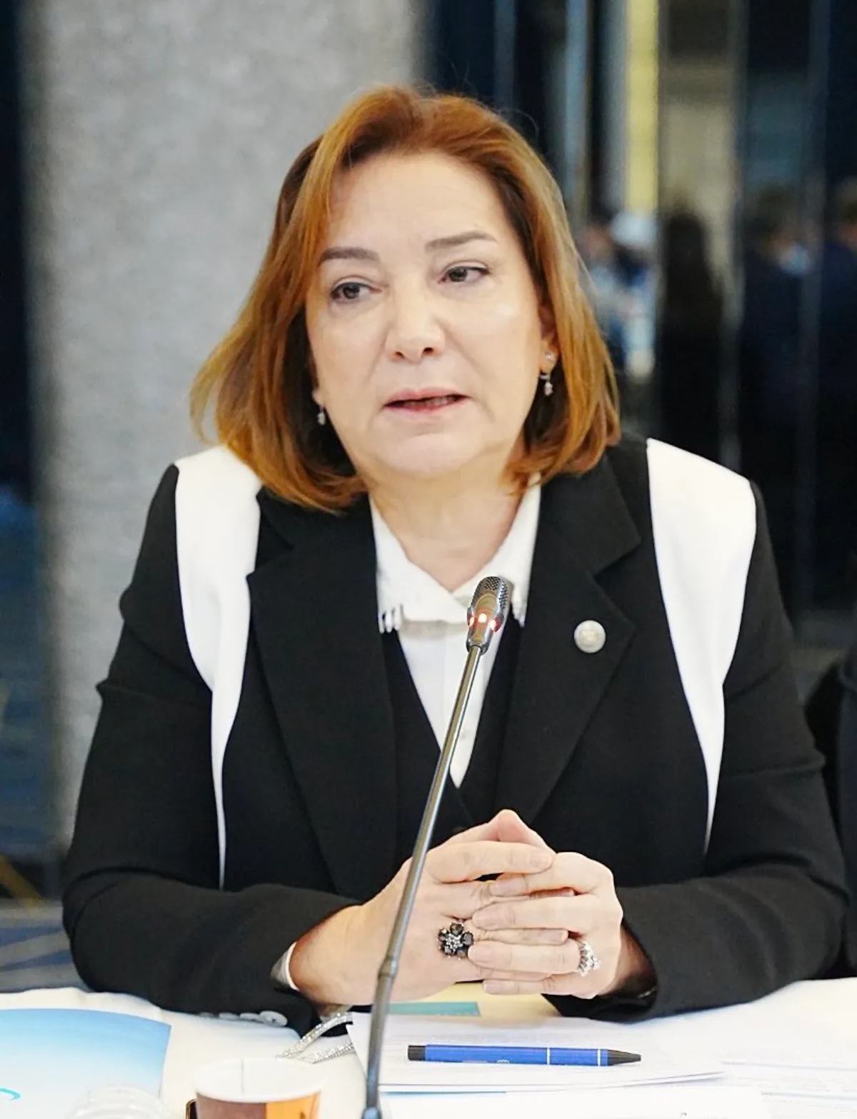 Kadın, Çocuk ve Engelli Hakları Gündemiyle Toplantı Kadın, Çocuk ve Engelli Hakları Gündemiyle Toplantı
