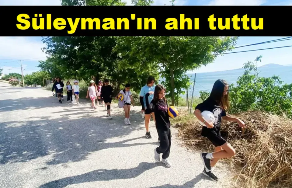 Marmara Adaları'nda Yaşam Mücadelesi: Zorunlu Survivor Dönemi görseli