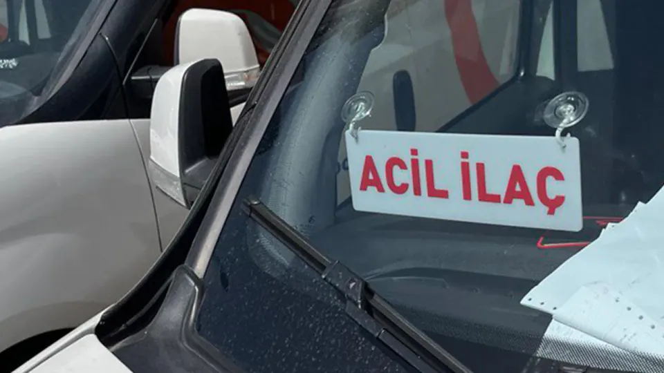 Viyana'da 14 Yaşındaki Eleonora Aranıyor: Acil İlaç İhtiyacı Var görseli