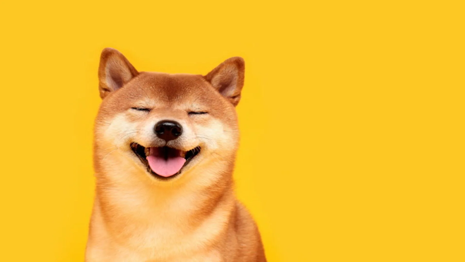 Dogecoin ve Shiba Inu'da Sert Düşüş: Bitcoin 60 Bin Dolar Sınırında Dogecoin ve Shiba Inu'da Sert Düşüş: Bitcoin 60 Bin Dolar Sınırında