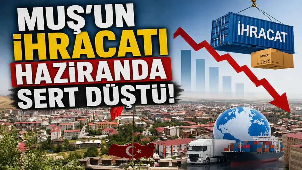 Muş'un Haziran Ayı Dış Ticaret Verileri Açıklandı: İthalat Artış Gösterdi görseli