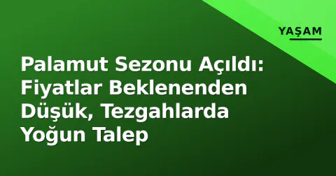 Palamut Sezonu Açıldı: Fiyatlar Beklenenden Düşük, Tezgahlarda Yoğun Talep