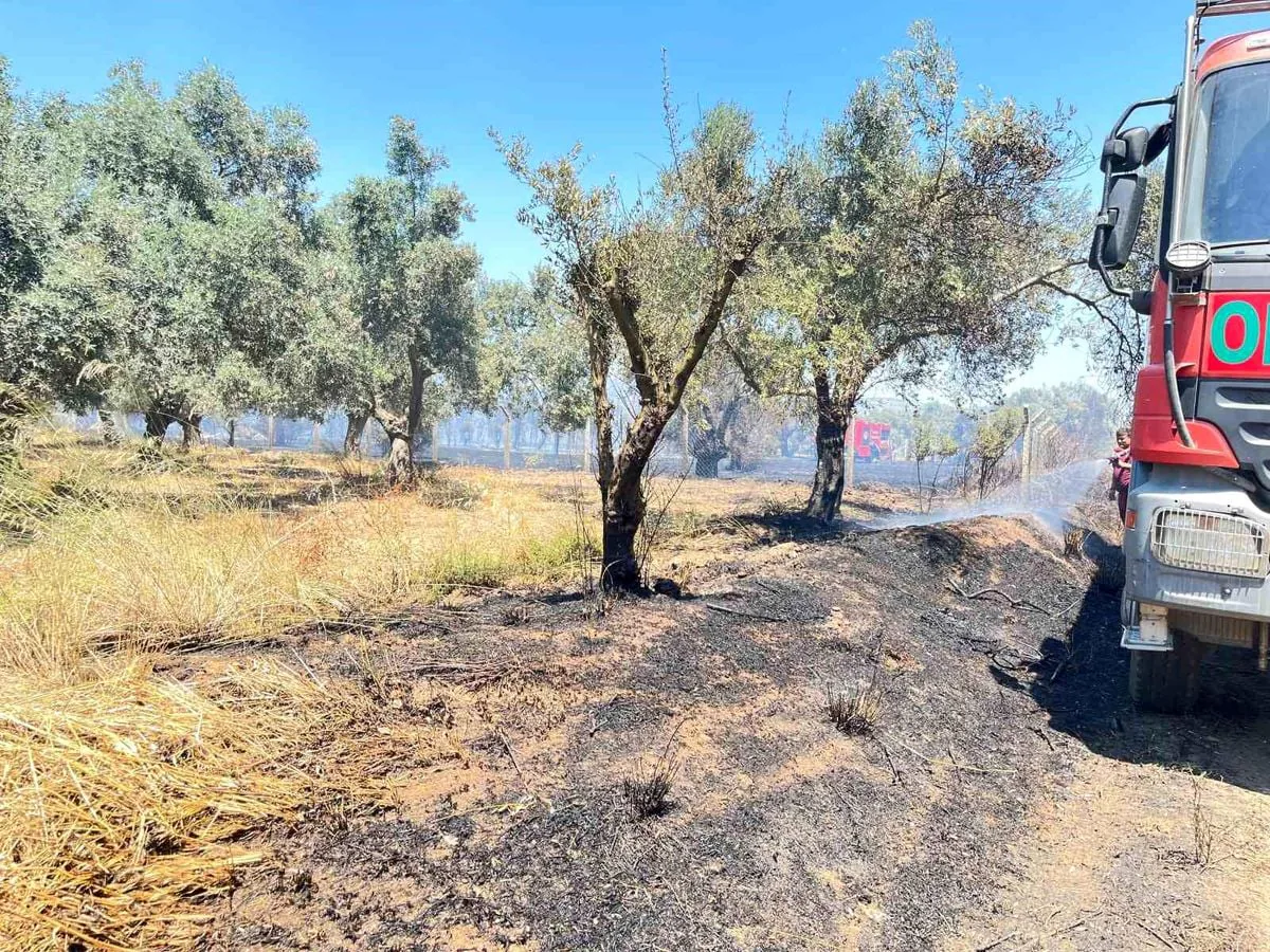 Kalkım Beldesinde Korkutan Yangın Kontrol Altına Alındı Kalkım Beldesinde Korkutan Yangın Kontrol Altına Alındı