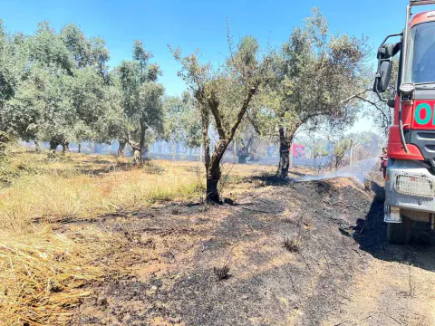 Kalkım Beldesinde Korkutan Yangın Kontrol Altına Alındı