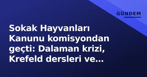 Sokak Hayvanları Kanunu komisyondan geçti: Dalaman krizi, Krefeld dersleri ve bilimsel etik yeni gündemi belirliyor