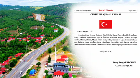 27 ilde orman sınırları değiştirildi: Tahtasız 'Türkiye'de hiçbir varlığın güvencesi yok' diye uyardı