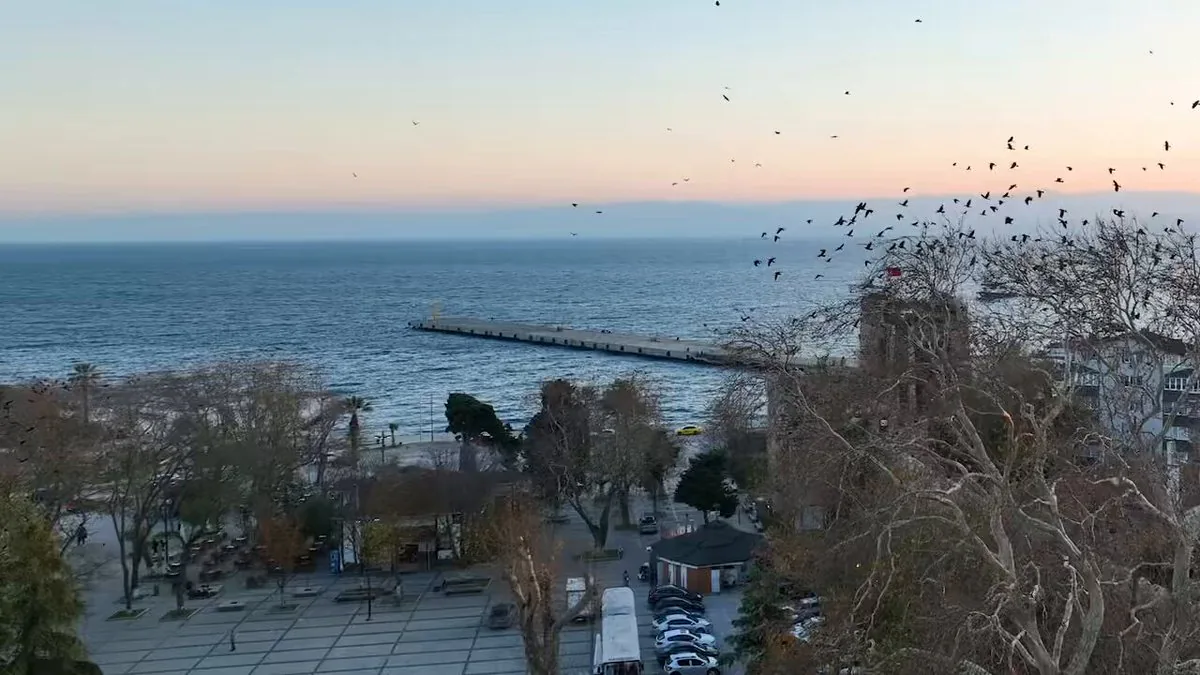 Sinop’ta Yeni Yeşil Alanlar Kazandırılıyor Sinop’ta Yeni Yeşil Alanlar Kazandırılıyor