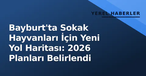 Bayburt'ta Sokak Hayvanları İçin Yeni Yol Haritası: 2026 Planları Belirlendi