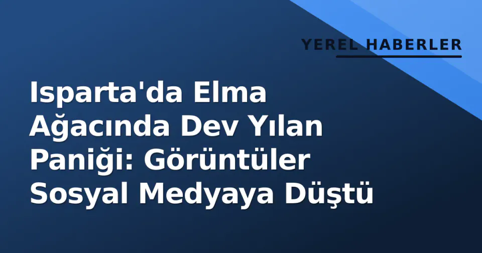 Isparta'da Elma Ağacında Dev Yılan Paniği: Görüntüler Sosyal Medyaya Düştü görseli