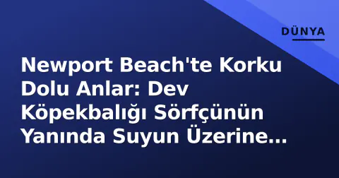 Newport Beach'te Korku Dolu Anlar: Dev Köpekbalığı Sörfçünün Yanında Suyun Üzerine Çıktı
