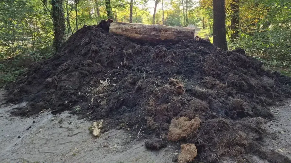 Holland'da Doğal Alan Parkı Sabotaajı: Çiftçiler Park Yerine Kum ve Kütük Bıraktı görseli