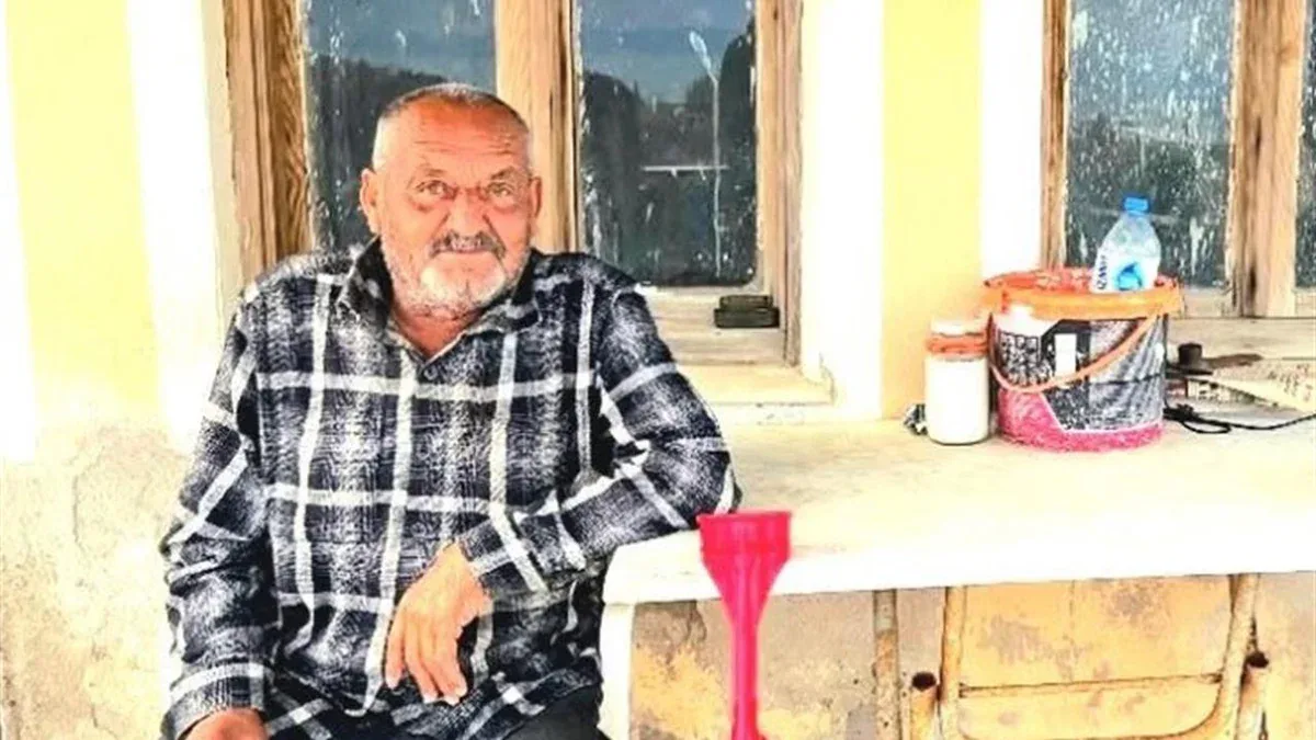 Seferihisar'da Kanepede Uyuyan Yaşlı Adam Ayı Saldırısına Uğrayarak Hayatını Kaybetti Seferihisar'da Kanepede Uyuyan Yaşlı Adam Ayı Saldırısına Uğrayarak Hayatını Kaybetti