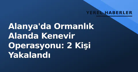Alanya'da Ormanlık Alanda Kenevir Operasyonu: 2 Kişi Yakalandı