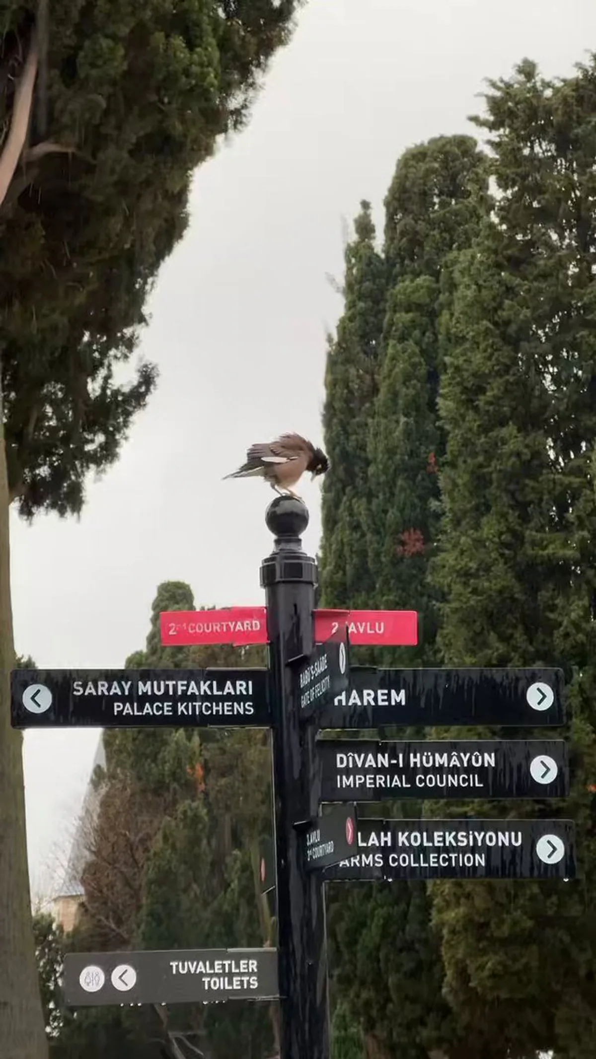 Topkapı Sarayı: Tarihin İzinde Doğanın Güzelliği Topkapı Sarayı: Tarihin İzinde Doğanın Güzelliği