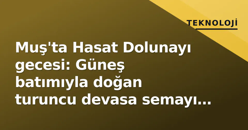 Muş'ta Hasat Dolunayı gecesi: Güneş batımıyla doğan turuncu devasa semayı boydı görseli