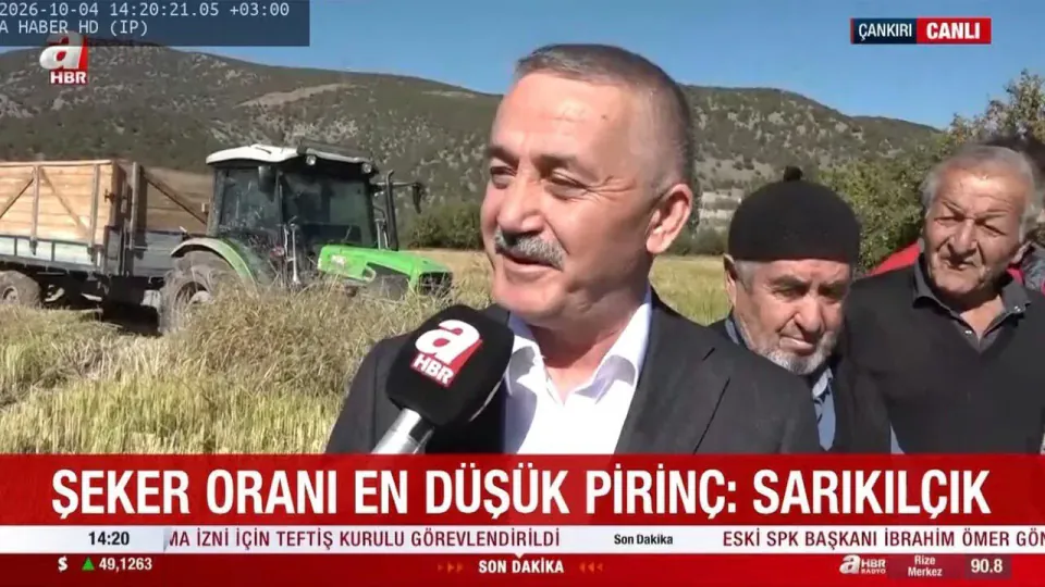 Ilgaz'da Sarıkılçık Pirinci hasadı canlı yayında başlandı: Coğrafi işaretli ürün Türkiye'ye tanıtıldı görseli