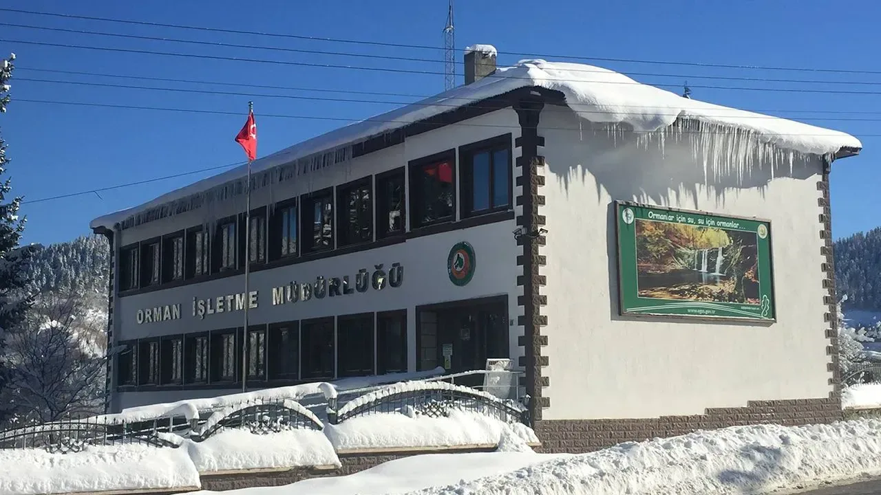 Kastamonu Küre'de Ormanlar Gençleşiyor: Dev Bakım İhalesi Önümüzdeki Hafta Kastamonu'da Orman Bakım İhalesi: Küre Bölgesinde Üretim Başlıyor
