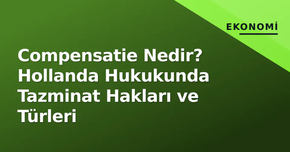Compensatie Nedir? Hollanda Hukukunda Tazminat Hakları ve Türleri görseli