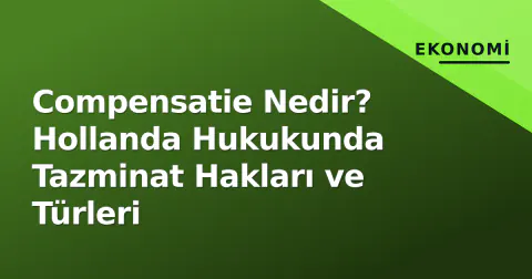 Compensatie Nedir? Hollanda Hukukunda Tazminat Hakları ve Türleri