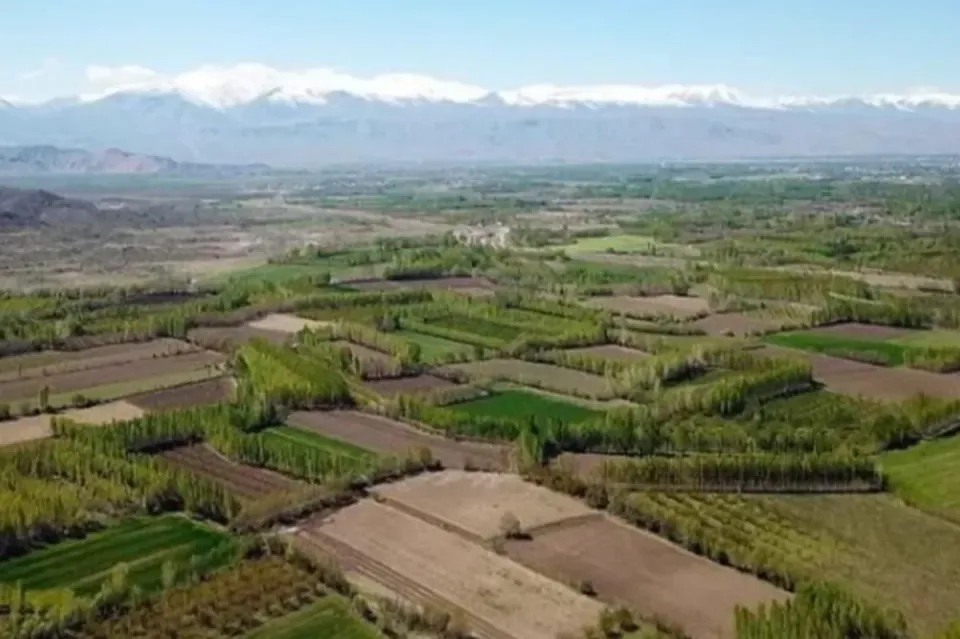Gayrimenkulde Arsa ve Arazi Satışları Toplam Pazarın %40'ına Ulaştı görseli