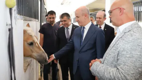 NEVÜ'den Türkiye'de Bir İlk: Uyarlanmış Binicilik Eğitmenliği Programı Açılıyor
