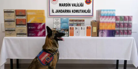 Mardin'de Kaçak Tütün Operasyonu: 2 Gözaltı ve 2 Milyon Liralık Mal Zaptı