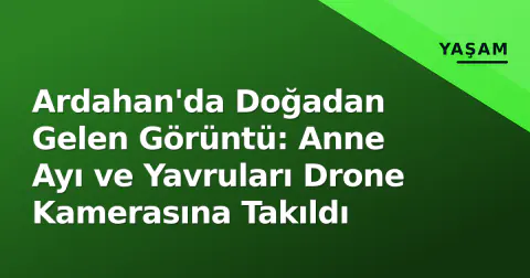 Ardahan'da Doğadan Gelen Görüntü: Anne Ayı ve Yavruları Drone Kamerasına Takıldı