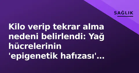 Kilo verip tekrar alma nedeni belirlendi: Yağ hücrelerinin 'epigenetik hafızası' suçlu