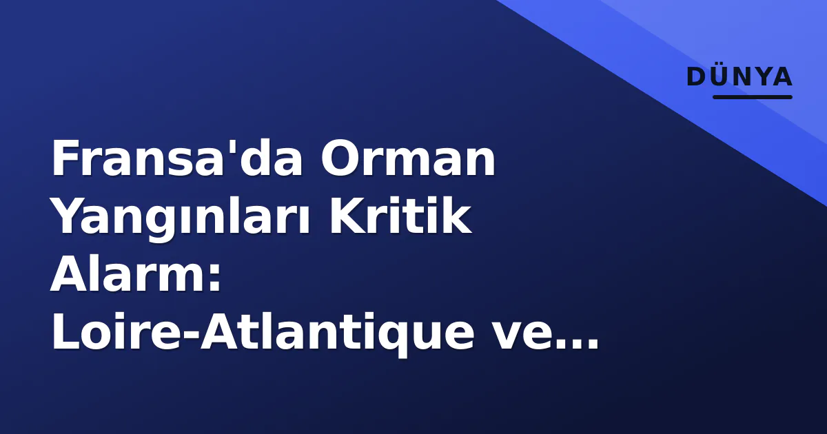 Fransa'da Orman Yangınları Kritik Alarm: Loire-Atlantique ve Çevresinde Risk Artıyor Fransa'da Orman Yangınları Kritik Alarm: Loire-Atlantique ve Çevresinde Risk Artıyor