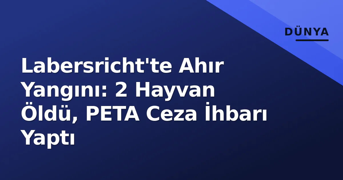Labersricht'te Ahır Yangını: 2 Hayvan Öldü, PETA Ceza İhbarı Yaptı Labersricht'te Ahır Yangını: 2 Hayvan Öldü, PETA Ceza İhbarı Yaptı