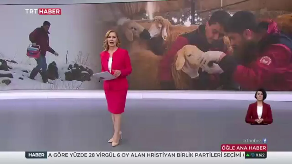 Tarım Bakanı, Sahada Çalışanlara Teşekkür Ediyor: Hayvan Sağlığı ve Üretici Desteği Öncelikli Tarım Bakanı, Sahada Çalışanlara Teşekkür Ediyor: Hayvan Sağlığı ve Üretici Desteği Öncelikli
